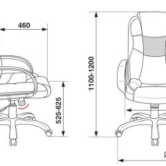 Кресло руководителя Бюрократ CH-839/BLACK черный Пегас в Игре - igra.mebel24.online | фото 4