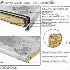 Кухонный фартук со столешницей (А-010) в едином стиле (3050 мм) в Игре - igra.mebel24.online | фото 7