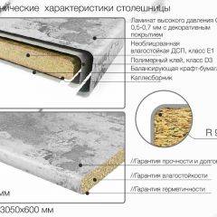 Кухонный фартук со столешницей (А-07) в едином стиле (3050 мм) в Игре - igra.mebel24.online | фото 6