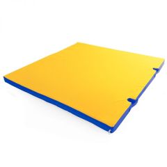 Мат гимнастический 1х1х0,05м с вырезом под стойки цв. синий-желтый в Игре - igra.mebel24.online | фото