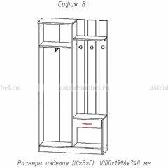 Прихожая София 8 в Игре - igra.mebel24.online | фото 2