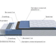 PROxSON Матрас Active Comfort M (Ткань Трикотаж Эко) 120x200 в Игре - igra.mebel24.online | фото 7