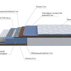 PROxSON Матрас Active Duo M/F (Ткань Трикотаж Эко) 120x200 в Игре - igra.mebel24.online | фото 6