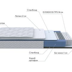 PROxSON Матрас Active Duo S/F (Ткань Трикотаж Эко) 120x190 в Игре - igra.mebel24.online | фото 7