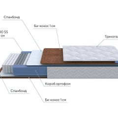 PROxSON Матрас Active F Roll (Ткань Трикотаж Эко) 160x200 в Игре - igra.mebel24.online | фото 7