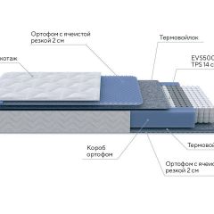 PROxSON Матрас Active M (Ткань Трикотаж Эко) 120x190 в Игре - igra.mebel24.online | фото 6