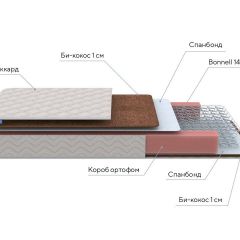 PROxSON Матрас Base Bonnell F Roll (Ткань Жаккард) 120x195 в Игре - igra.mebel24.online | фото 8