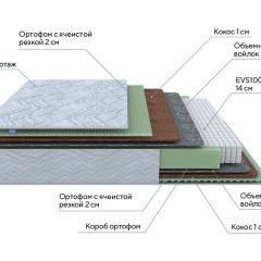 PROxSON Матрас Green M (Tricotage Dream) 120x190 в Игре - igra.mebel24.online | фото 7