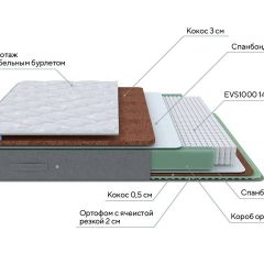 PROxSON Матрас Lux Duo M/F (Non-Stress) 120x190 в Игре - igra.mebel24.online | фото 8