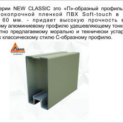 Шкаф-купе 1500 серии NEW CLASSIC K2+K2+B2+PL2(2 ящика+1 штанга+1 полка) профиль «Капучино» в Игре - igra.mebel24.online | фото 17