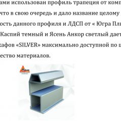 Шкаф-купе 1500 серии SILVER S1+S1+B2+PL2 (2 ящика+1 штанга+1 полка) профиль «Серебро» в Игре - igra.mebel24.online | фото 4