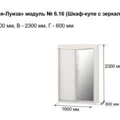 Шкаф-купе 1600 с зеркалом "Мария-Луиза 6.16" в Игре - igra.mebel24.online | фото 4