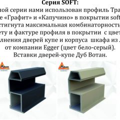 Шкаф-купе 1600 серии SOFT D8+D2+B2+PL4 (2 ящика+F обр.штанга) профиль «Графит» в Игре - igra.mebel24.online | фото 12