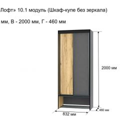 ОЛЬГА-ЛОФТ 10.1 Шкаф-купе без зеркала в Игре - igra.mebel24.online | фото 3