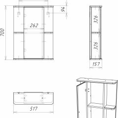 Шкаф-зеркало Норма 2-50 левый АЙСБЕРГ (DA1607HZ) в Игре - igra.mebel24.online | фото 10