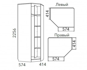 Детская Фанк Шкаф угловой Левый/Правый НМ 013.04-02 М в Игре - igra.mebel24.online | фото 3