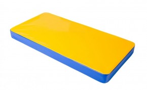 Мат гимнастический 1х0,5х0,08м цв. синий-желтый в Игре - igra.mebel24.online | фото