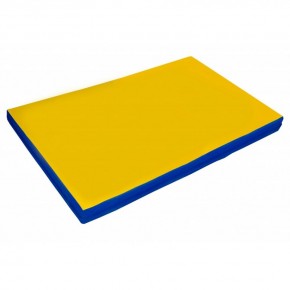Мат гимнастический 2х1х0,05м цв. синий-желтый в Игре - igra.mebel24.online | фото