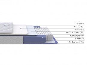 PROxSON Матрас Active Duo S/F (Ткань Трикотаж Эко) 120x195 в Игре - igra.mebel24.online | фото 2