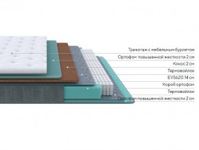 PROxSON Матрас Grace Firm (Трикотаж Prestige Latte) 80x210 в Игре - igra.mebel24.online | фото