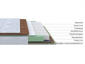 PROxSON Матрас Green Duo M/F (Tricotage Dream) 120x190 в Игре - igra.mebel24.online | фото 2