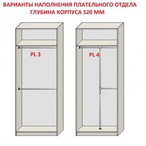 Шкаф распашной серия «ЗЕВС» (PL3/С1/PL2) в Игре - igra.mebel24.online | фото 10