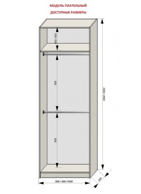 Шкаф распашной серия «ЗЕВС» (PL3/С1/PL2) в Игре - igra.mebel24.online | фото 12