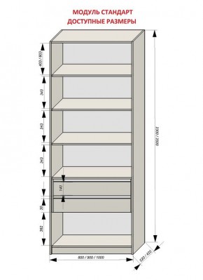 Шкаф распашной серия «ЗЕВС» (PL3/С1/PL2) в Игре - igra.mebel24.online | фото 13