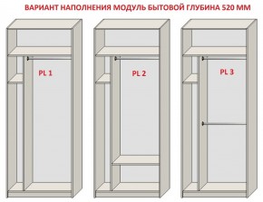 Шкаф распашной серия «ЗЕВС» (PL3/С1/PL2) в Игре - igra.mebel24.online | фото 5