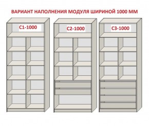 Шкаф распашной серия «ЗЕВС» (PL3/С1/PL2) в Игре - igra.mebel24.online | фото 7