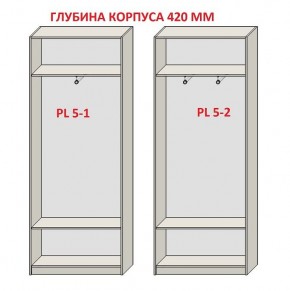 Шкаф распашной серия «ЗЕВС» (PL3/С1/PL2) в Игре - igra.mebel24.online | фото 8