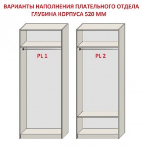 Шкаф распашной серия «ЗЕВС» (PL3/С1/PL2) в Игре - igra.mebel24.online | фото 9