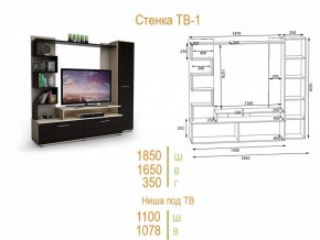 Стенка для гостиной ТВ-1 в Игре - igra.mebel24.online | фото 2