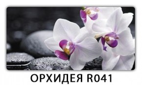 Стол Бриз с фотопечатью Лайм R156 в Игре - igra.mebel24.online | фото 10