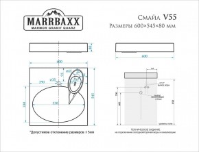 Умывальник над стиральной машиной (600*545*80) Смайл V55D1 (белый) с кронштейном без сифона (V55D1) в Игре - igra.mebel24.online | фото 2